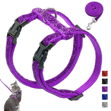 Load image into Gallery viewer, Harness and Leash Set