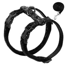 Load image into Gallery viewer, Harness and Leash Set