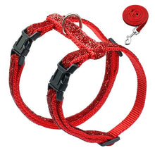 Load image into Gallery viewer, Harness and Leash Set