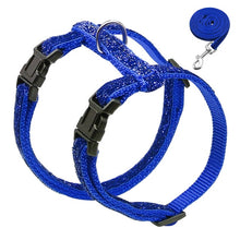 Load image into Gallery viewer, Harness and Leash Set