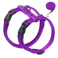 Load image into Gallery viewer, Harness and Leash Set