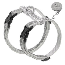 Load image into Gallery viewer, Harness and Leash Set