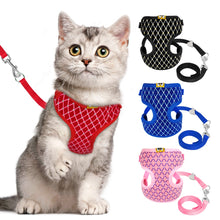 Load image into Gallery viewer, Mesh Harness and Leash Set