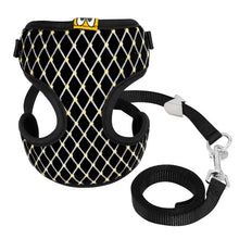 Load image into Gallery viewer, Mesh Harness and Leash Set