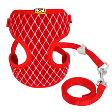 Load image into Gallery viewer, Mesh Harness and Leash Set