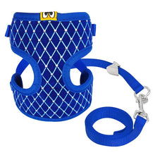 Load image into Gallery viewer, Mesh Harness and Leash Set