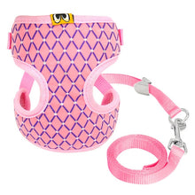 Load image into Gallery viewer, Mesh Harness and Leash Set