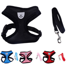 Load image into Gallery viewer, Nylon Harness and Leash Set