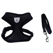 Load image into Gallery viewer, Nylon Harness and Leash Set