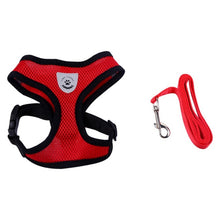 Load image into Gallery viewer, Nylon Harness and Leash Set