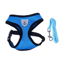 Load image into Gallery viewer, Nylon Harness and Leash Set