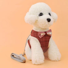 Load image into Gallery viewer, Vest Harness With Bowknot Mesh