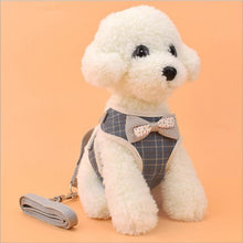 Load image into Gallery viewer, Vest Harness With Bowknot Mesh