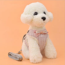 Load image into Gallery viewer, Vest Harness With Bowknot Mesh