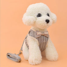 Load image into Gallery viewer, Vest Harness With Bowknot Mesh