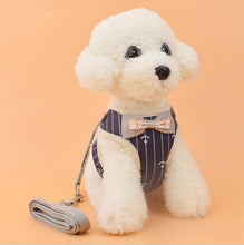 Load image into Gallery viewer, Vest Harness With Bowknot Mesh
