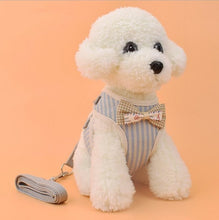 Load image into Gallery viewer, Vest Harness With Bowknot Mesh