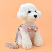 Load image into Gallery viewer, Vest Harness With Bowknot Mesh