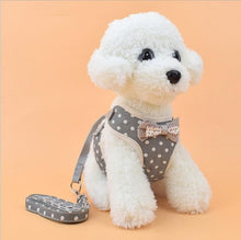 Load image into Gallery viewer, Vest Harness With Bowknot Mesh