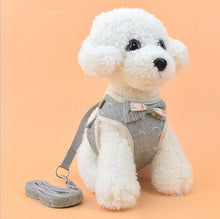 Load image into Gallery viewer, Vest Harness With Bowknot Mesh