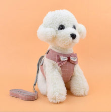 Load image into Gallery viewer, Vest Harness With Bowknot Mesh