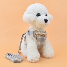 Load image into Gallery viewer, Vest Harness With Bowknot Mesh