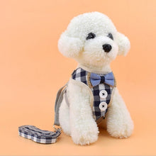 Load image into Gallery viewer, Vest Harness With Bowknot Mesh