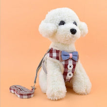 Load image into Gallery viewer, Vest Harness With Bowknot Mesh