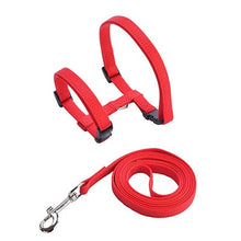 Load image into Gallery viewer, Adjustable Harness &amp; Leash