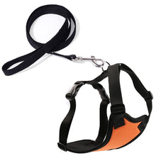 Load image into Gallery viewer, Nylon Harness and Leash Set