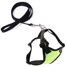Load image into Gallery viewer, Nylon Harness and Leash Set