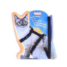 Load image into Gallery viewer, Cat Harness Set