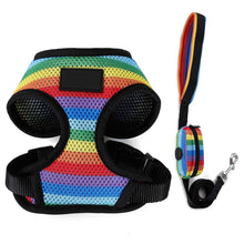 Load image into Gallery viewer, Rainbow Harness Set