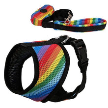 Load image into Gallery viewer, Rainbow Harness Set